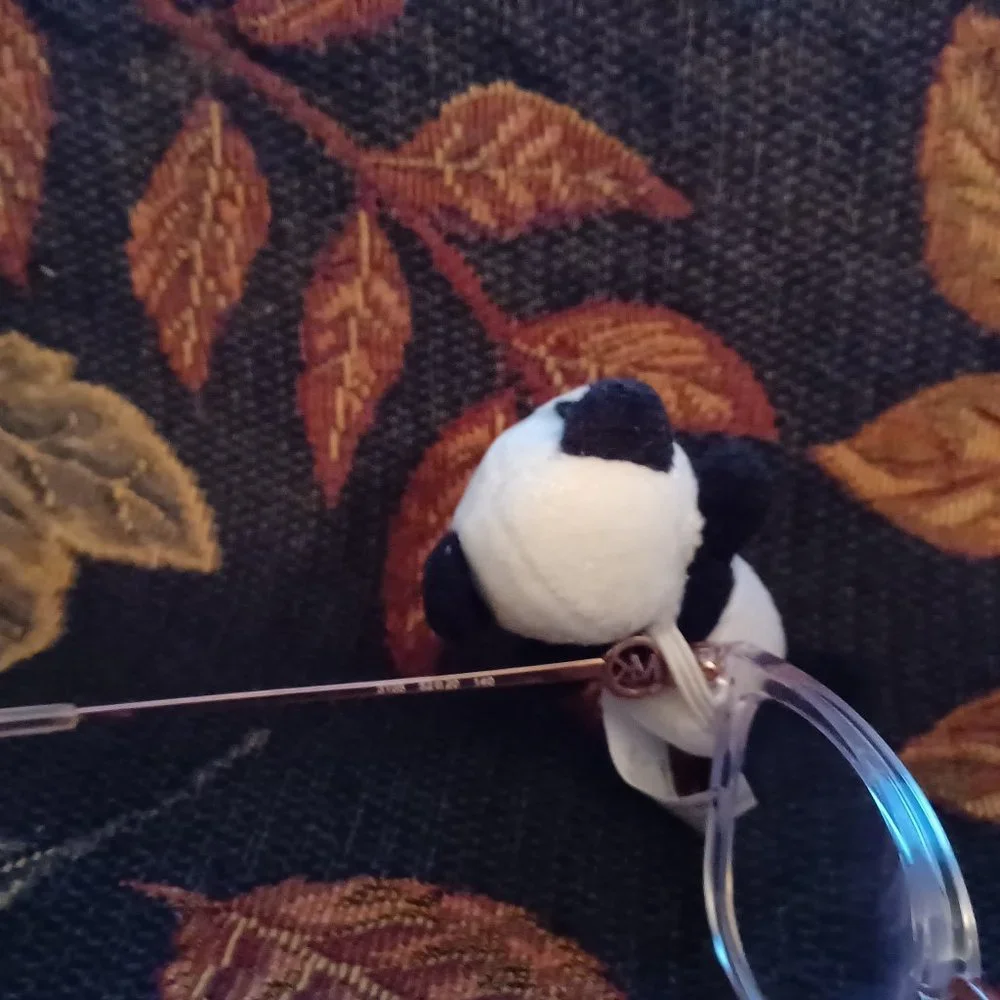 New Vintage Icon Eyewear Kids Eyeglasses buddy / Pal Panda Fit All Glasses